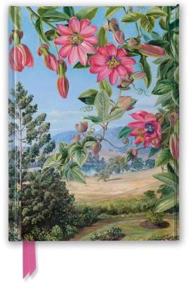 Opakowanie Notatnik A5 linia TW Widok w ogrodzie Kew Gardens