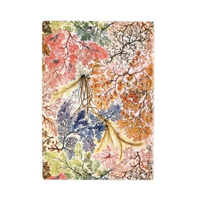 Opakowanie Notatnik linia Anemone midi