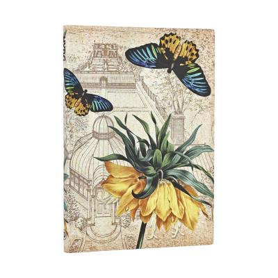 Opakowanie Notatnik linia Fritillaria midi