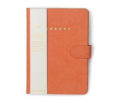 Notatnik mini na hasła Asterisks. Wydawca: Designworks Ink. SmakLiter.pl Opakowanie Notatnik mini na hasła Asterisks