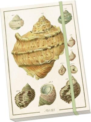 Notatnik ozdobny A5 STNOTE 135 Muszle. Wydawca: Skona Ting. SmakLiter.pl Opakowanie Notatnik ozdobny A5 STNOTE 135 Muszle