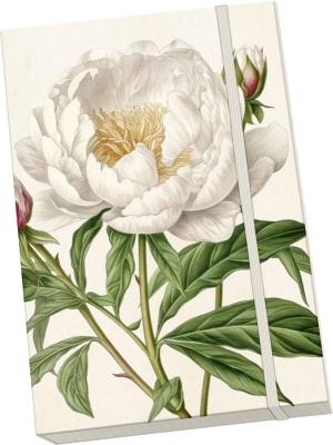 Notatnik ozdobny A5 STNOTE 138 Piwonie i róże. Wydawca: Skona Ting. SmakLiter.pl Opakowanie Notatnik ozdobny A5 STNOTE 138 Piwonie i róże