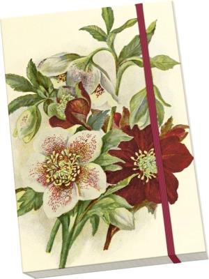 Opakowanie Notatnik ozdobny A5 STNOTE 141 Ciemiernik