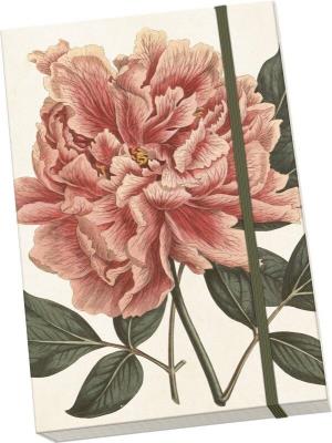 Opakowanie Notatnik ozdobny A5 STNOTE 55 Piwonia