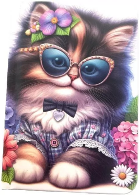 Opakowanie Notatnik ozdobny A7/48K gładki TW Kot w okularach