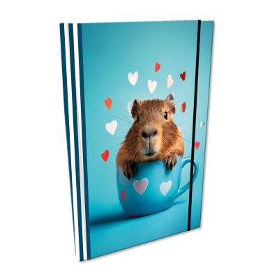 Notes A5 kratka z gumką Soft Touch Capybara. Wydawca: EV-Corp. SmakLiter.pl Opakowanie Notes A5 kratka z gumką Soft Touch Capybara