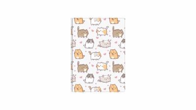 Opakowanie Notes A6 kratka kittens