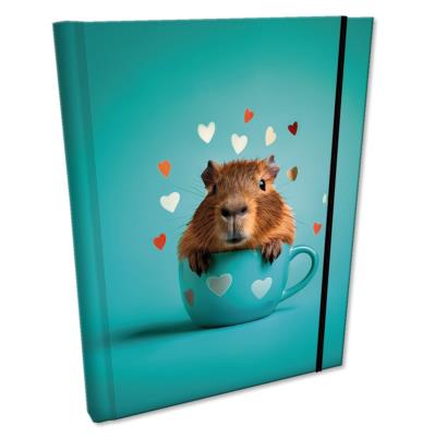 Notes B6 kratka z gumką Soft Touch Kapibara. Wydawca: EV-Corp. SmakLiter.pl Opakowanie Notes B6 kratka z gumką Soft Touch Kapibara