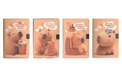 Opakowanie Notes z kłódką B6 80K linia Kapibara mix