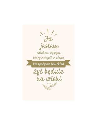 Okładka książki NT z infografikami B5 srebr. tł. Ja jestem chlebem