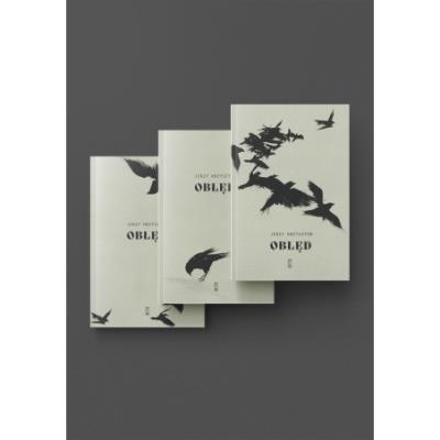 Okładka książki Obłęd. Tom 1-3