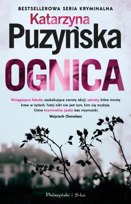 Okładka książki Ognica. Zalesie. Tom 4