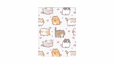 Okładka na dokumenty ucznia pion kittens. Wydawca: biurfol. SmakLiter.pl Opakowanie Okładka na dokumenty ucznia pion kittens