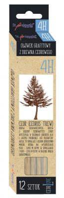 Opakowanie Ołówek z drewna cedrowego 12 szt. 4H