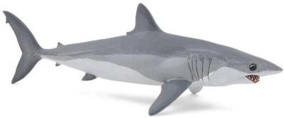 Opakowanie Ostronos atlantycki (rekin mako)