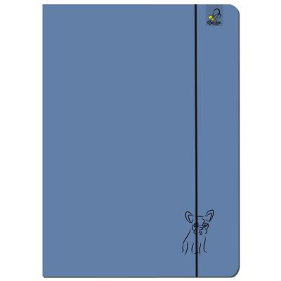 Paczka Teczka A4 z gumką Buldog denim 5 sztuk. Wydawca: EV-Corp. SmakLiter.pl Opakowanie Paczka Teczka A4 z gumką Buldog denim 5 sztuk