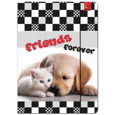 Paczka Teczka A4 z gumką Kot i Pies 5 sztuk. Wydawca: EV-Corp. SmakLiter.pl Opakowanie Paczka Teczka A4 z gumką Kot i Pies 5 sztuk