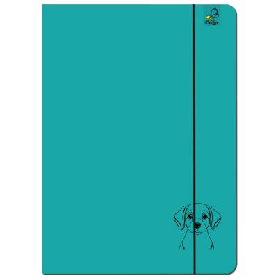 Paczka Teczka A4 z gumką Labrador turkus 5 sztuk. Wydawca: EV-Corp. SmakLiter.pl Opakowanie Paczka Teczka A4 z gumką Labrador turkus 5 sztuk