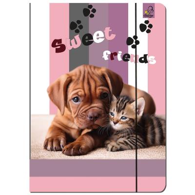 Paczka Teczka A4 z gumką Pies i Kot 5 sztuk. Wydawca: EV-Corp. SmakLiter.pl Opakowanie Paczka Teczka A4 z gumką Pies i Kot 5 sztuk