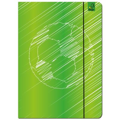 Paczka Teczka A4 z gumką Piłka zielona 5 sztuk. Wydawca: EV-Corp. SmakLiter.pl Opakowanie Paczka Teczka A4 z gumką Piłka zielona 5 sztuk