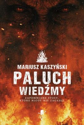 Okładka książki Paluch Wiedźmy
