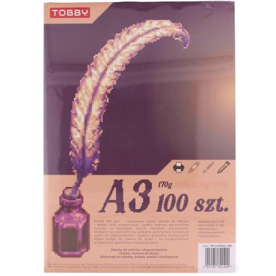 Papier Brystol 170g A3 100 ark.. Wydawca: Tobby. SmakLiter.pl Opakowanie Papier Brystol 170g A3 100 ark.