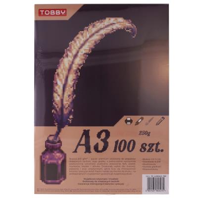 Opakowanie Papier Brystol 250g A3 100 ark.