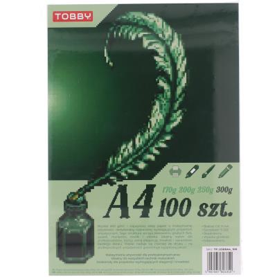 Opakowanie Papier brystol 300g A4 100 ark.