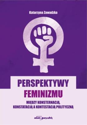 Okładka książki Perspektywy feminizmu. Między konsternacją...