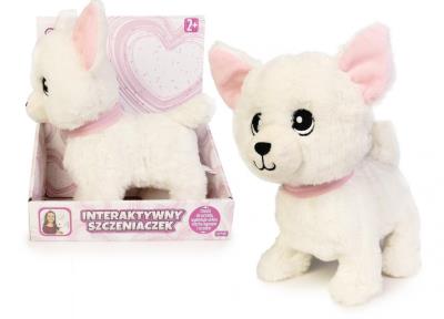 Opakowanie Pies chodzący mix