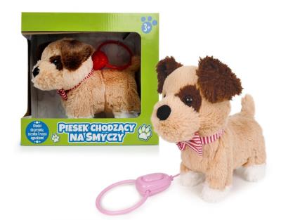 Opakowanie Pies chodzący na smyczy z szalikiem