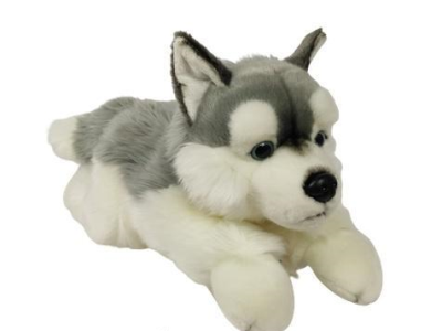 Opakowanie Pies Husky 30cm