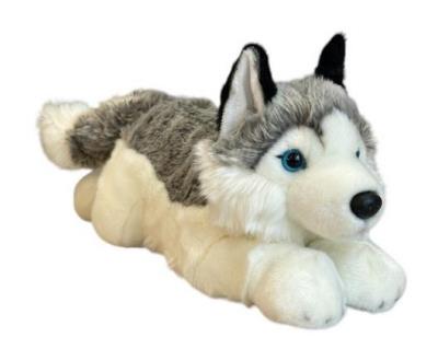 Opakowanie Pies Husky 42cm