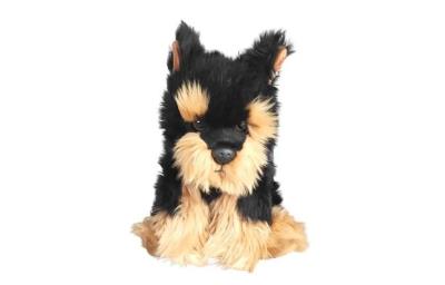 Opakowanie Pies morkie 30cm
