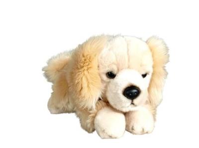 Opakowanie Pies Retriver leżący 30cm