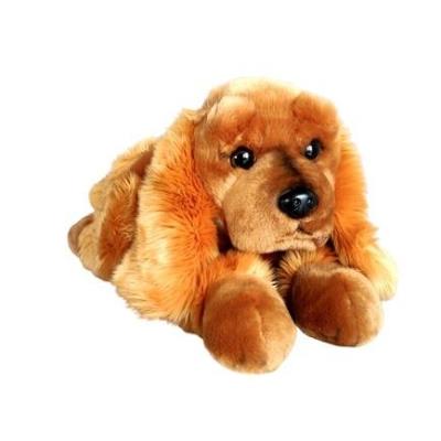 Opakowanie Pies Spaniel 62cm