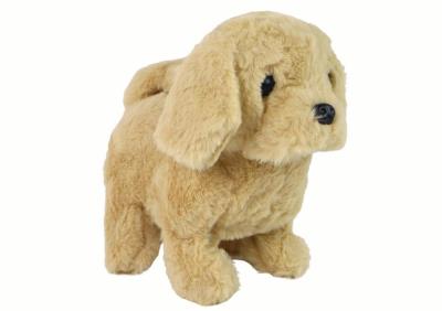 Opakowanie Piesek interaktywny beżowy