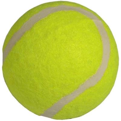 Opakowanie Piłka tenis ziemny 3szt