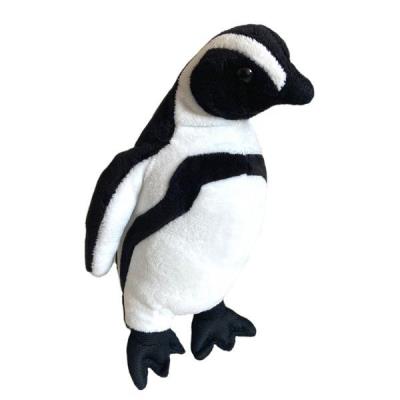 Opakowanie Pingwin peruwiański Humboldta 23cm