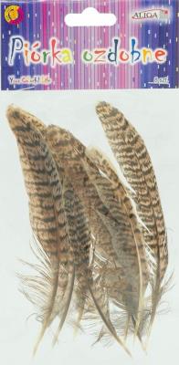 Opakowanie Piórka 10-15cm 8szt