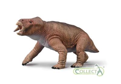 Opakowanie Placerias 1:20