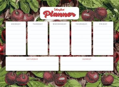 Opakowanie Planner magnetyczny z mozaiką diamentową Wiśnie