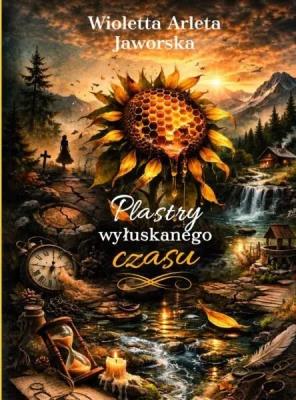 Okładka książki Plastry wyłuskanego czasu