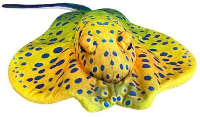 Opakowanie Płaszczka żółta 55cm