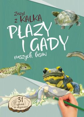 Płazy i gady naszych lasów. Zeszyt z kalką. Autor: Katarzyna Kopiec-Sekieta. SmakLiter.pl Okładka książki Płazy i gady naszych lasów. Zeszyt z kalką