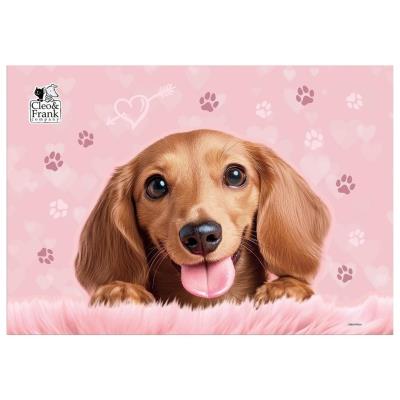 Opakowanie Podkład Clei i Frank Pies