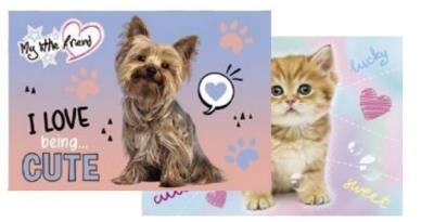 Opakowanie Podkład na biurko dwustronny My little friend