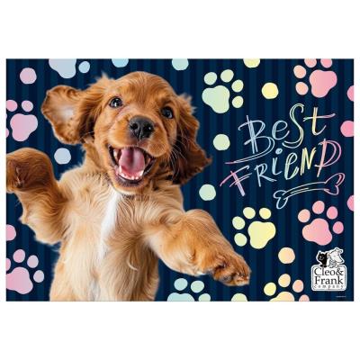 Opakowanie Podkład oklejany Cleo i Frank 44 DERFORM