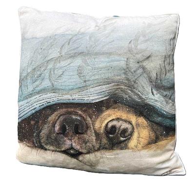 Opakowanie Poduszka CU58 Noski psów