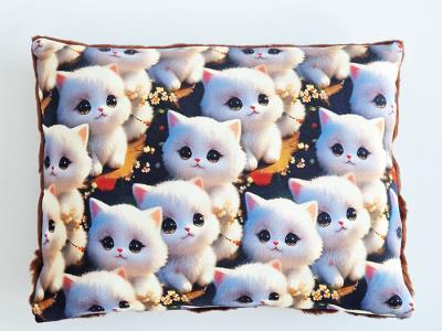 Opakowanie Poduszka Koty